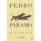 Pedro Paramo, Juan Rulfo - Editura Curtea Veche