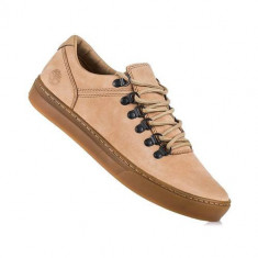 Pantofi Barbati Timberland Adv 20 Cupsole Alpine Oxford A1NGX foto