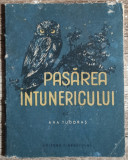 Pasarea intunericului - Ana Tudoras// ilustrata, editie liliput