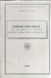 Norme specifice de securitate a muncii pentru fabricarea geamului
