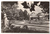 CPIB 22517 - CARTE POSTALA - ORADEA. BAILE &quot;VICTORIA&quot;, VEDERE DIN PARC, RPR
