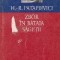 Zbor in bataia sagetii
