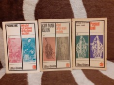 PAVILIONUL DESFATARII/VISUL CELOR NOUA SUFLETE/POEMUL LUNII ROMANE CHINEZESTI