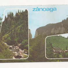 RF13 -Carte Postala- Zanoaga, Valea Ialomitei, necirculata