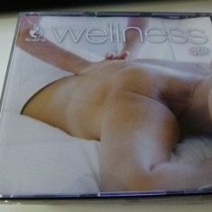 The World of wellness- 2 cd- g