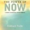 The Power of Now: A Guide to Spiritual Enlightenment