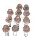 Set Prezoane Roata Mercedes-Benz C W204 (2007-2014) Original