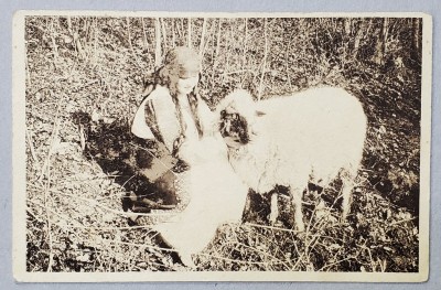 TARANCA CU OAIA , CARTE POSTALA ILUSTRATA , 1927 foto