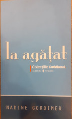 La agatat Colectia cotidianul 74 foto