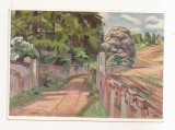 FA91 -Carte Postala- GERMANIA - Karl Kroner, Bluhende Kastanie und Larche, necirculata