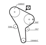 Curea distributie Audi 80 B2, 80 B3, 90 B2, 90 B3; VW Golf I, Golf II, Iltis, Jetta I, Jetta II Motor 1.5 D, dinti 135, lungime 1286 mm, 25 mm, OE