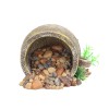 Decor Pentru Acvariu, Sofia CONCEPT®, Ulcica cu Pietre si Plante, L12xW12xH9 cm