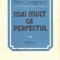 Mai mult ca perfectul - Roman