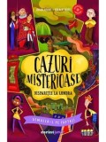 Cumpara ieftin Cazuri misterioase. Disparitie la Londra/Johan Heliot