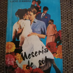 Meseria de sot – Lucio d'Ambra