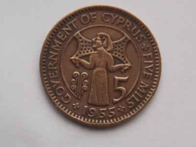 5 MILS 1955 CIPRU foto