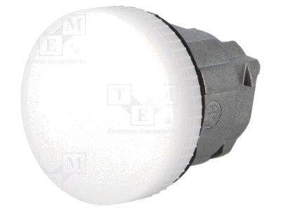 Lumină de control plată albă 22mm foto