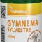 Gymnema Sylvestre 400mg Vitaking 90cps Cod: vk959