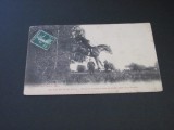 Şcoala de Cavalerie Saumur &bdquo;Săritură Spectaculoasă&rdquo; - Carte Poștală Vintage Franța (posibil perioada 1900-1950)