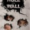Hole in the Wall