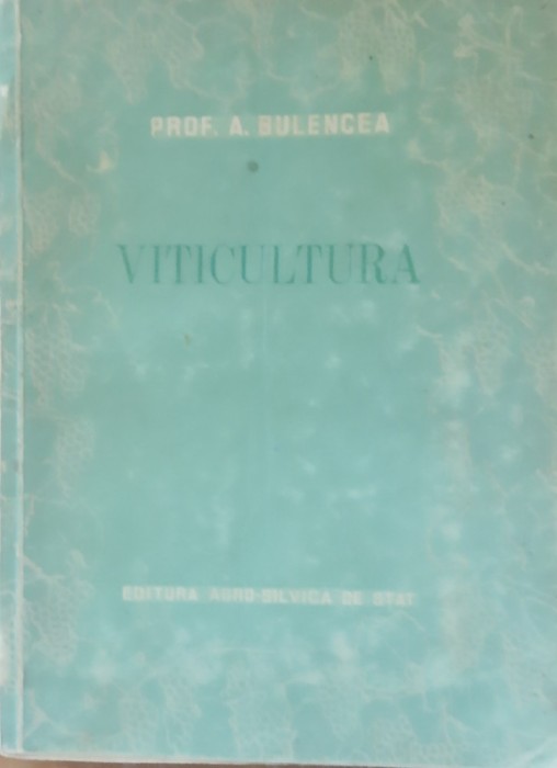 Viticultura A. Bulencea - 1955