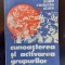 Cunoasterea si activarea grupurilor sociale- Mielu Zlate, Camelia Zlate