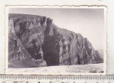 Bnk foto - Bucegi - Vedere spre Cruce - 1961, Alb-Negru, Romania de la 1950, Natura