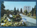 233 Cluj-Napoca Gradina Botanica /carte postala circulata