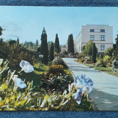 233 Cluj-Napoca Gradina Botanica /carte postala circulata