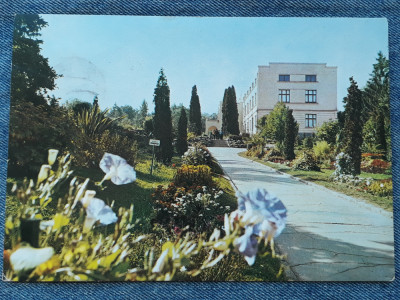 233 Cluj-Napoca Gradina Botanica /carte postala circulata foto