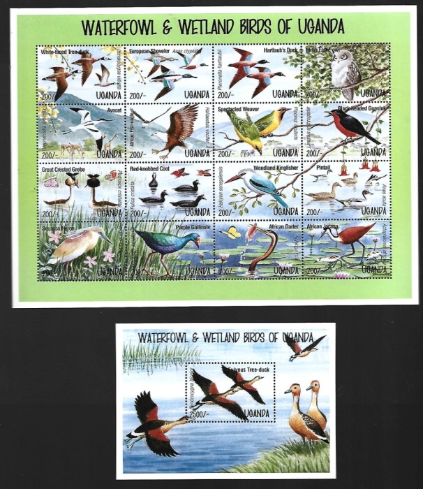 uganda pasari mnh