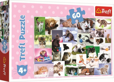 Puzzle trefl 60 o lume a pisicilor foto