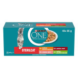 PURINA ONE STERILCAT Multipack pui, vită, somon și curcan &icirc;n suc 40x85g