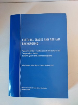 Cultural Spaces and Archaic Background, D. Suiogan, Ş. Mariş, Carmen Dărăbuş foto