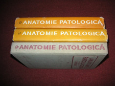 ANATOMIE PATOLOGICA - I MORARU (3vol.) foto