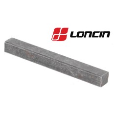 PANA MOTOR LONCIN G200F, LC1P65FE, LC1P70FA (380620031-0001)