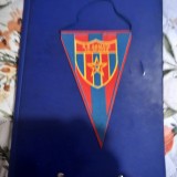 Fanion A S A Tg. Mures