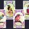 DB1 Ras al Khaima Fauna Pasari 6 v. MNH
