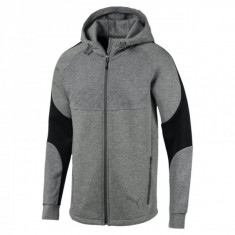 Bluza Puma EVOSTRIPE FZ HOODY foto