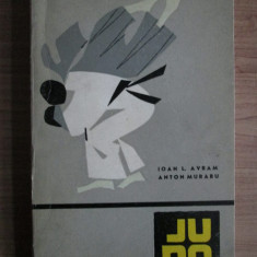 Ioan L. Avram - Judo
