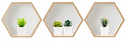 Sticker Suculente 3D - Nise Hexagon Lemn foto