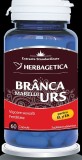 Branca marelui urs 60cps, Herbagetica