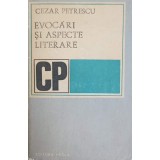 EVOCARI SI ASPECTE LITERARE-CEZAR PETRESCU-243688