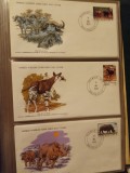 FAUNA WWF - 3 PLICURI PRIMA ZI