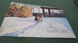 CARTE POSTALA FELICITARE CIRCULATA, Fotografie