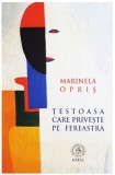 Testoasa care priveste pe fereastra - Școala Ardeleană