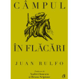 Campul in flacari, Juan Rulfo, Curtea Veche Publishing