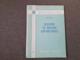 Maxime si minime geometrice Ion Ionescu