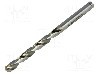 Burghiu pentru metal, 6mm, HSS-CO, lungime 93mm, ALPEN-MAYKESTAG - 0061300600100