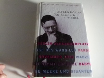 Das Lesebuch - Doblin foto